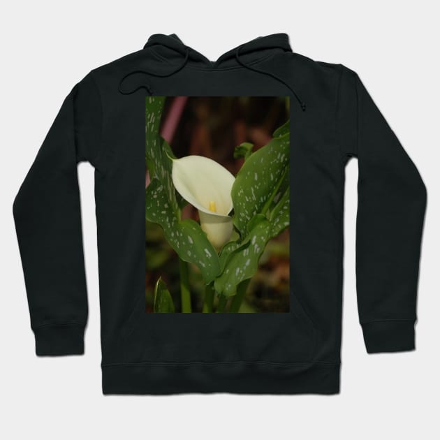 Calla Lily White Spotted Leaves Hoodie by declancarr